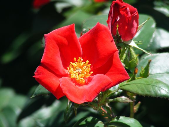 Home Run photo hr2013_06130032_zpsc3cf049a.jpg